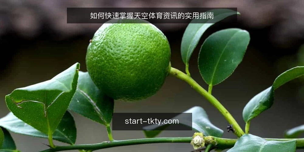 如何快速掌握天空体育资讯的实用指南 — 准备:明确你的资讯需求 配图