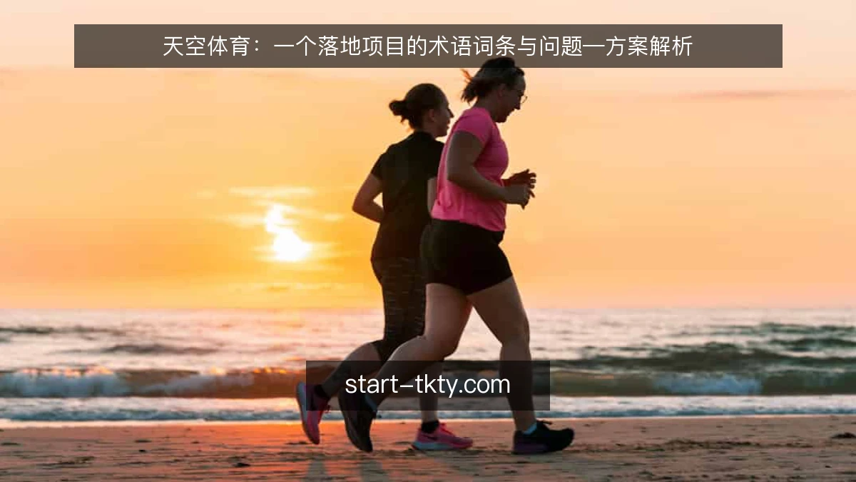 天空体育：一个落地项目的术语词条与问题—方案解析