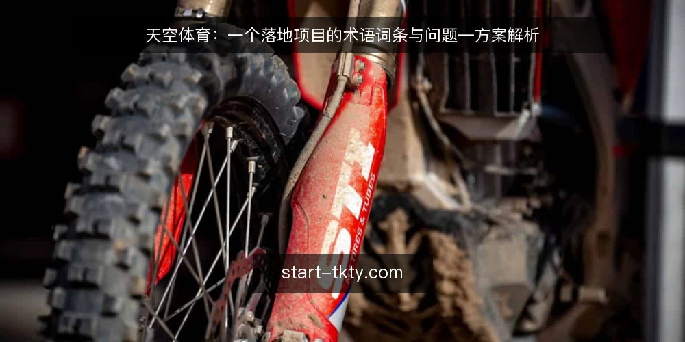 天空体育:一个落地项目的术语词条与问题—方案解析 — 术语:天空体育落地项目 配图